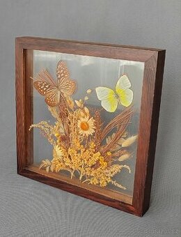 Krásný dekorativní obrázek z motýlů a sušených kvetin