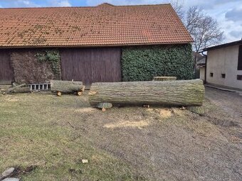 Prodej lipoveho dřeva