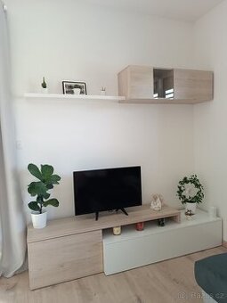 Obývací stěna / skříňka