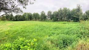Prodej pozemku, 2 000 m² - Velká Bukovina