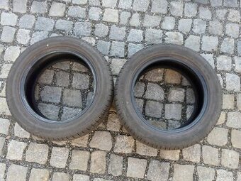 LETNÍ PNEU CHAMPIRO 195/55R15