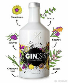 Ginesis 45%