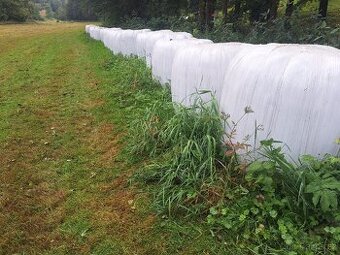 Prodám balíky senáže 120 Otavy