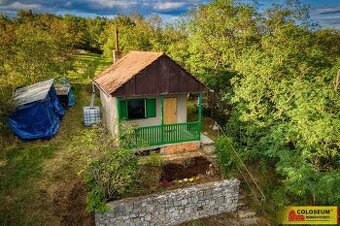 Sivice - chata, zahrada, vinice - pozemek, ev.č. E3430L004