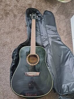 Kytara Washburn
