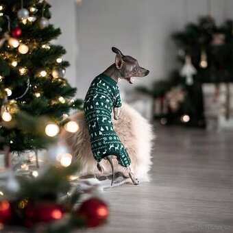 Zelený vánoční obleček pro psy, flísová psí mikina 🐾 délka