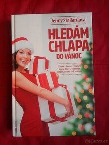 Jenny Stallard: HLEDÁM CHLAPA DO VÁNOC