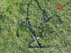 Nánosníky mexické