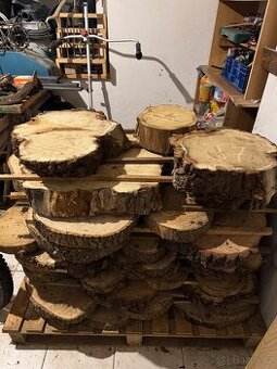 Akátové / jasanové Koláče , příčné rezy