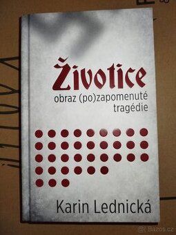 Životice: Obraz (po)zapomenuté tragédie