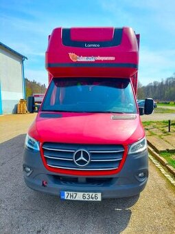 Mercedes-Benz Sprinter 316 CDI (10 palet)
