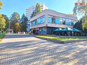 Pronájem obchod a služby, 450 m², Hradec Králové