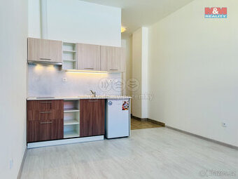 Pronájem bytu 1+kk, 24,5 m², Janovice n. Úhlavou