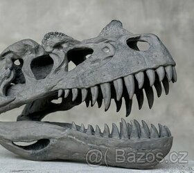 Replika lebky dinosaura Ceratosaurus Muzejní kvalita, 20cm