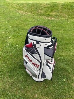 Bag Ping