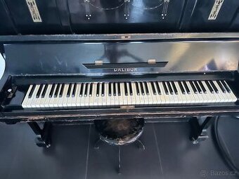 Piano Dalibor - 1