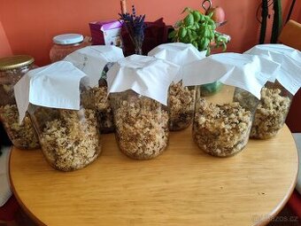 Prodej přebytků letošní medové víčkovice.