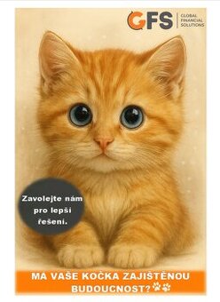 Má vaše kočka zajištěnou budoucnost?