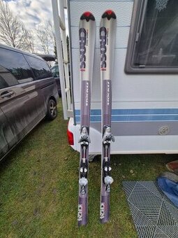 Pánské lyže Stöckli