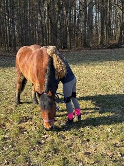 Kontakt a vyjížďky s konmi