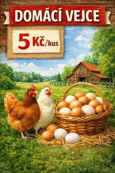 Domácí vajíčka