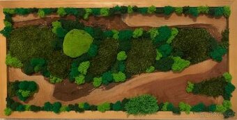 Mechový obraz - 40x80 - NOVÉ