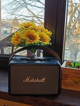Marshall kilburn2