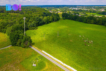 Prodej zemědělského pozemku 6 655 m², Zpupná Lhota, obec Cho