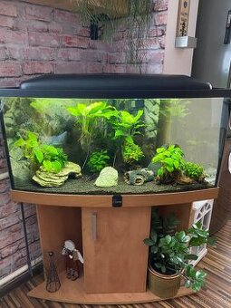 Akvarium