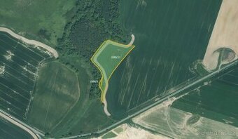 Zemědělská půda, prodej, Skviřín, Bor, Tachov