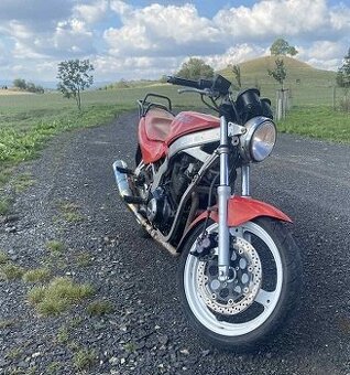 suzuki 500