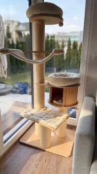 Kočičí škrabadlo velké