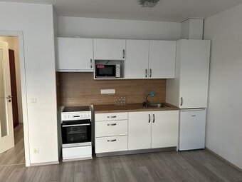 Pronájem bytu 1+KK se zahrádkou a parkováním