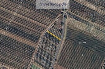 Prodej vinice v k.ú. Týnec na Moravě - 1