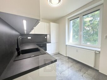 Pronájem bytu 1+1, 18000 kč, 39m2, Boleslavova, ev.č. N08094