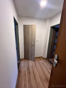 Podkrovní byt 2kk - 1