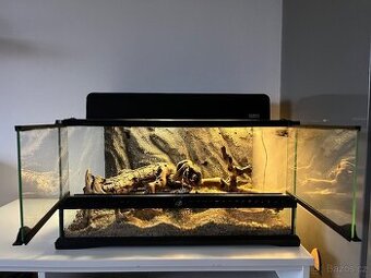 Terarium, terarko vcetne oscetleni