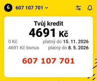 607 107 701 - TOP číslo s kreditem 4.691,- + 11GB dat
