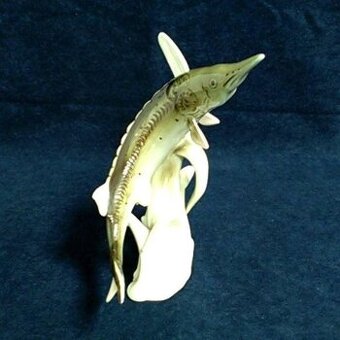 Jeseter – Royal Dux, Duchcov