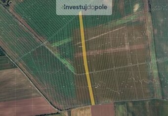 Prodej pole 8 042 m², Břeclav - Poštorná, ev.č. 2025-04-01-6