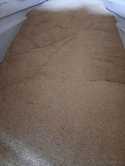 Prodám pšenice, soj. šrot, nahý oves, řepka,žito, kukuřice