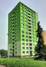 Prodej  bytu 1+1 po rekonstrukci, Brno, ul. Novoměstská