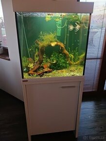 Prodám kompletní akvarium