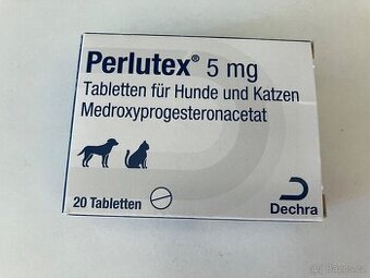 Antikoncepce Provera pro psy a kočky