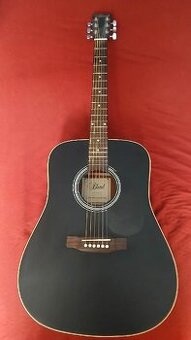 Prodám akustickou kytaru BLOND