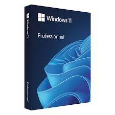 Windows 10/11 Pro/Home