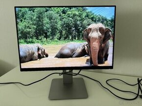 LCD monitor Dell UltraSharp U2415, 24", ISP,1920x1200,16:10