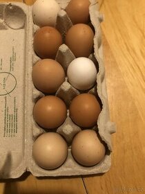 Prodám přebytky domácích vajec - Veverská bítýška