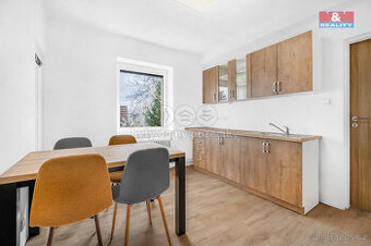 Pronájem bytu 1+kk, 23 m², Plazy