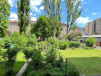 Pěkná nezařízená garsonka v blízkosti centra-ulice Botanická